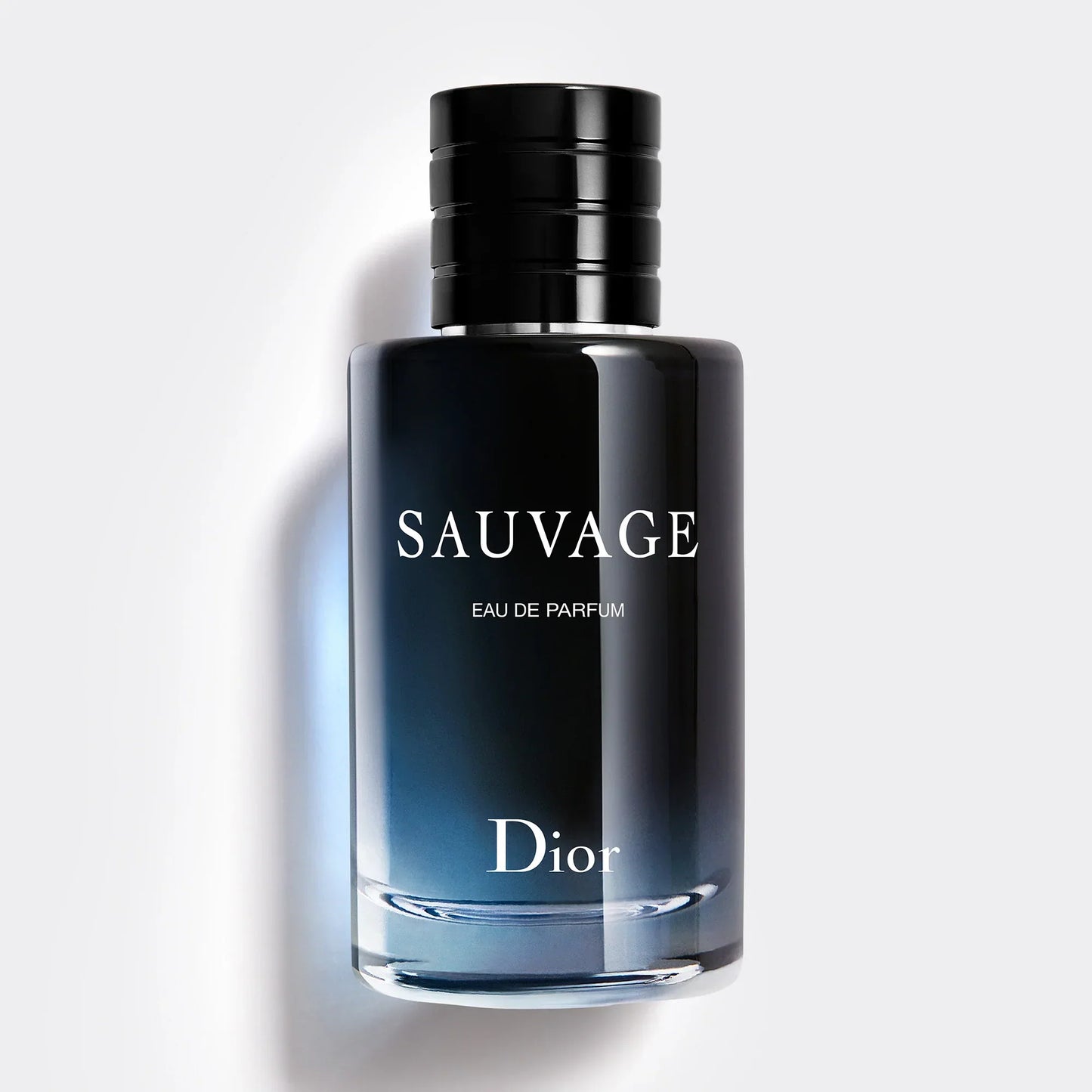 SAUVAGE EAU DE PARFUM 100ML